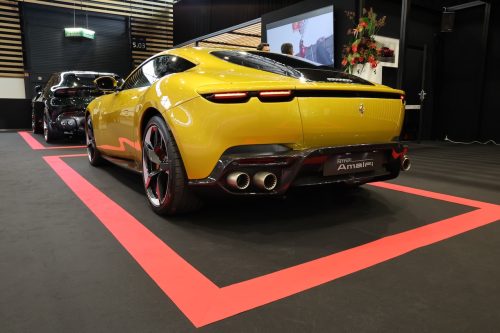 salon-automobile-lyon-2025-photo-laurent-sanson-57 (1)